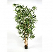 Бамбук Новый Биг Лиф Treez Collection 10.34510N