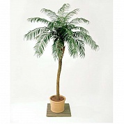 Финиковая пальма де Люкс Treez Collection 10.33009N