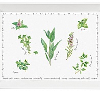 Поднос Herbarium,  51х38 см