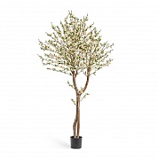 Сакура Элегант цветущая Treez Collection 10.55106CR