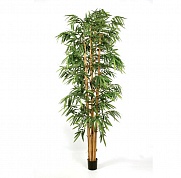 Бамбук Новый Гигантский Биг Лиф Treez Collection 10.35409N