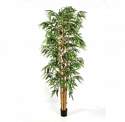 Бамбук Новый Гигантский Биг Лиф Treez Collection 10.35410N