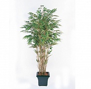Бамбук натуральный Treez Collection 10.35606N