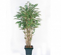Бамбук натуральный Treez Collection 10.35606N