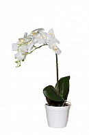 29BJ-170-13 Орхидея белая в горшке, 65 см