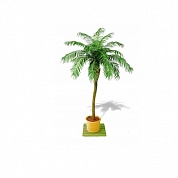 Финиковая пальма де Люкс Treez Collection 10.33007N