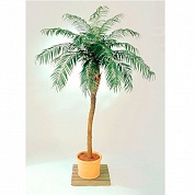 Финиковая пальма де Люкс Treez Collection 10.33008N    