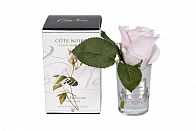 96СN-R46 Диффуз.Rose Bud French Pink,спрей White Gardenia 5мл уп