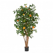Апельсиновое дерево с плодами Treez Collection 10.40306N